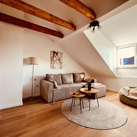 Apartment Am Exerzierplatz *