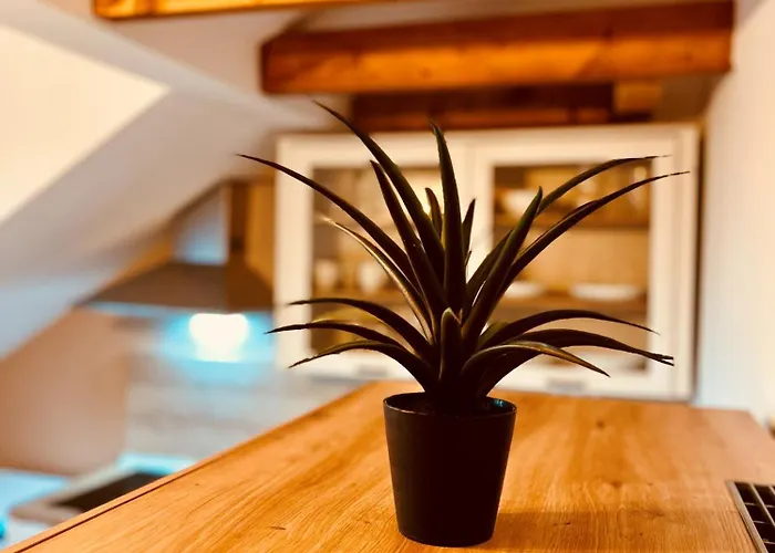 Apartment Am Exerzierplatz Pirmasens